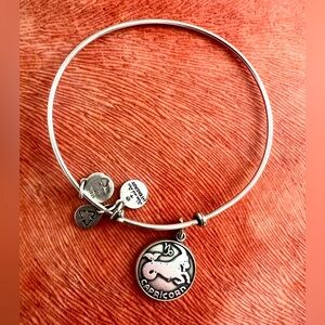 Alex and Ani Capricorn bracelet